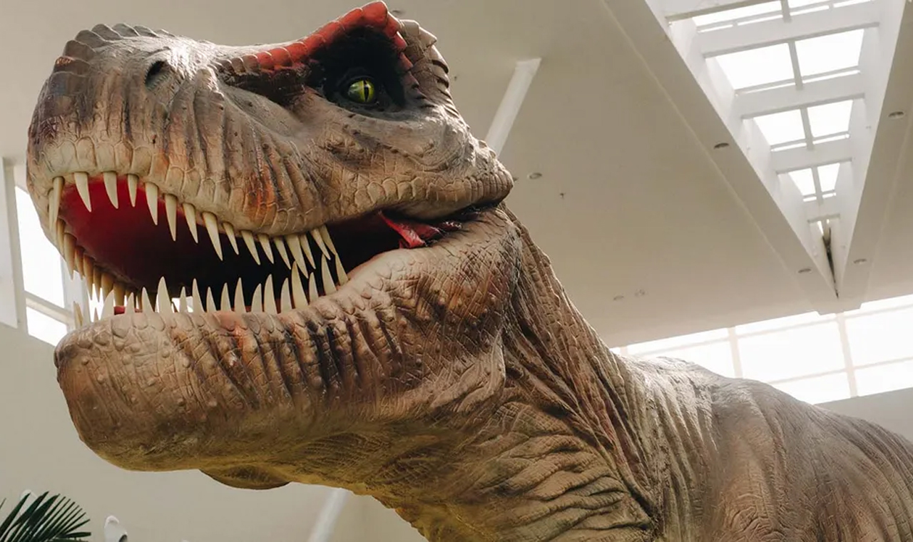 Busca do Google ganha dinossauros em 3D com realidade aumentada; veja como  usar - Tem Londrina