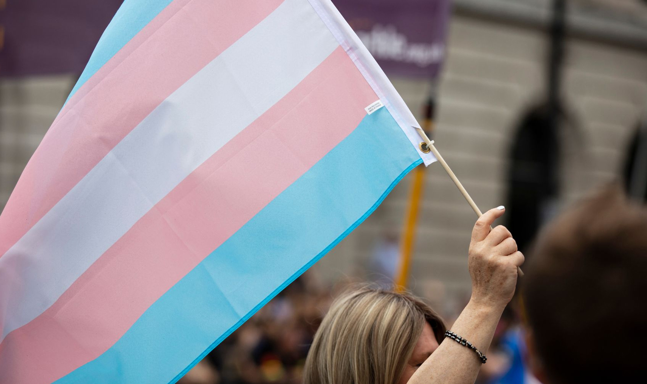 Câmara de Vereadores debate projeto que proíbe atleta trans em competições em Londrina nesta segunda-feira