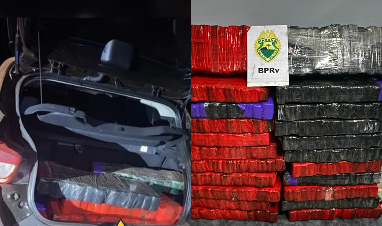PRE realiza apreensão de 204 quilos de maconha na rodovia PR-323 em Sertaneja