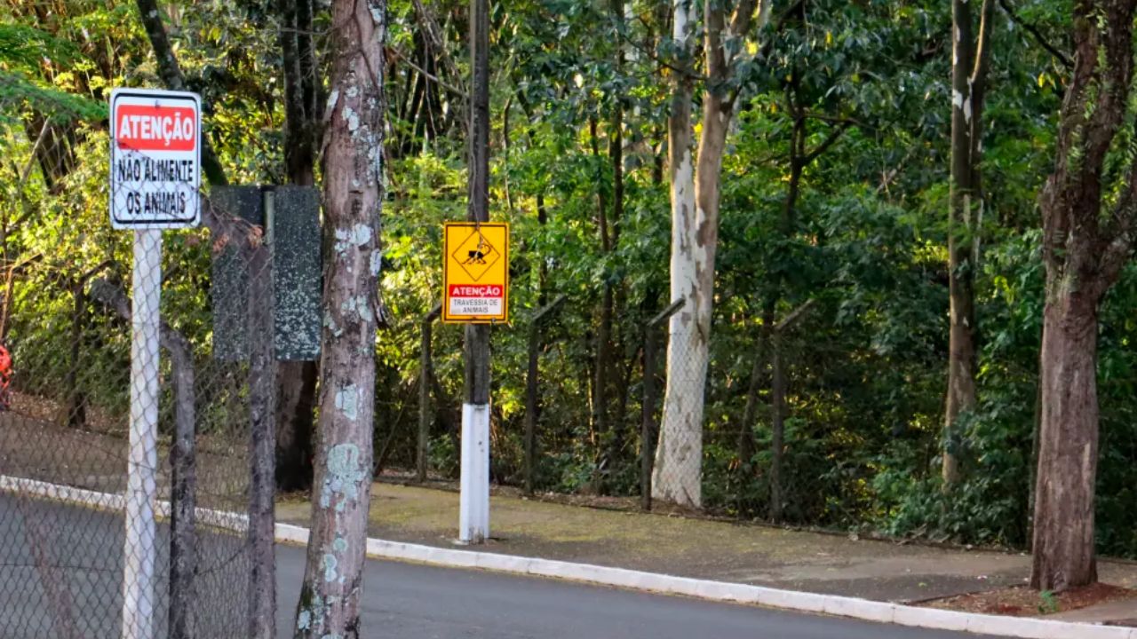 Prefeitura de Londrina inicia as obras de revitalização do Parque Arthur Thomas