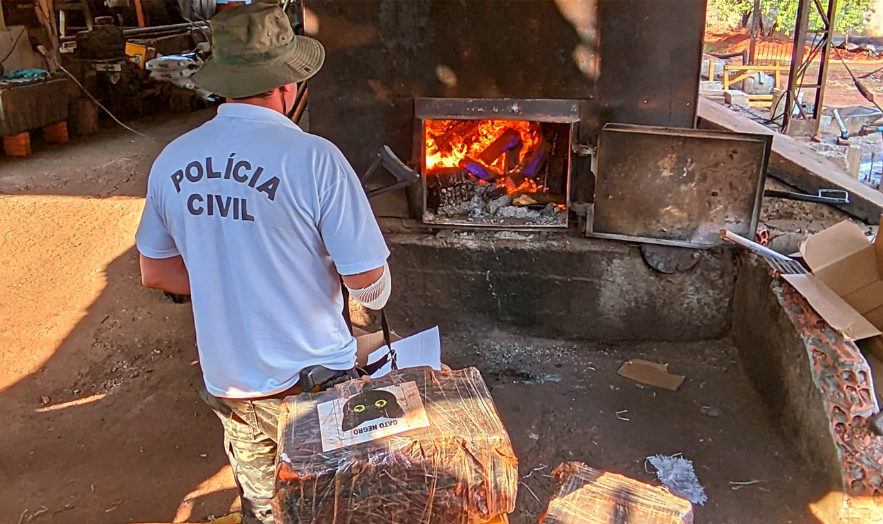 Polícia Civil incinera 5 toneladas de maconha no Norte Pioneiro do Paraná