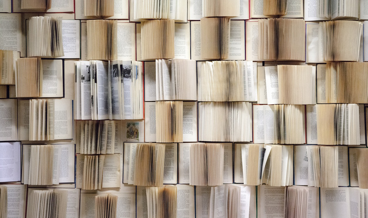 Campanha de devolução de livros prossegue em Londrina