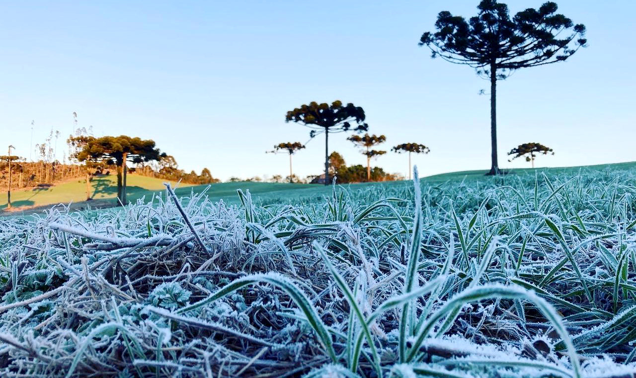 Com a chegada da primavera, IDR-Paraná e Simepar encerram Alerta Geada 2023