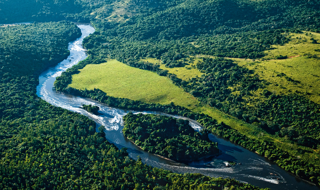 Operação Mata Atlântica em Pé é lançada em 17 Estados do Brasil