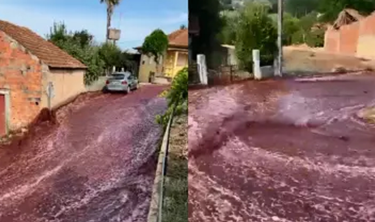 “Chuva” de vinho tinto inunda ruas de cidade em Portugal