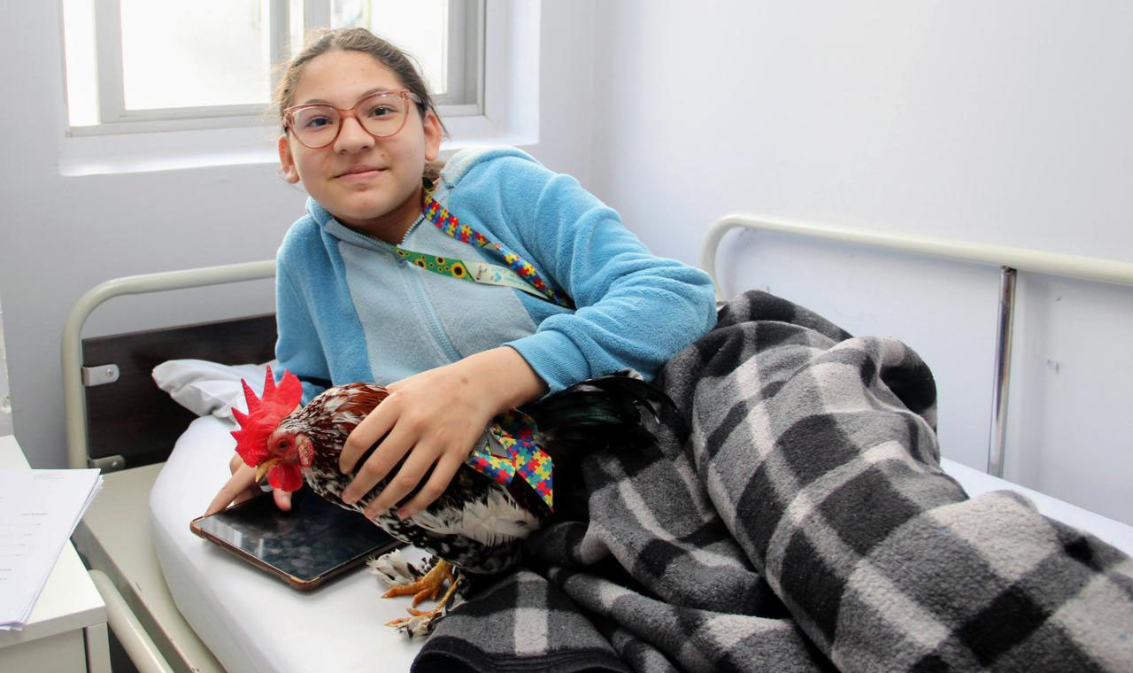 Adolescente com TEA consegue permanecer com galo de estimação em hospital do Paraná