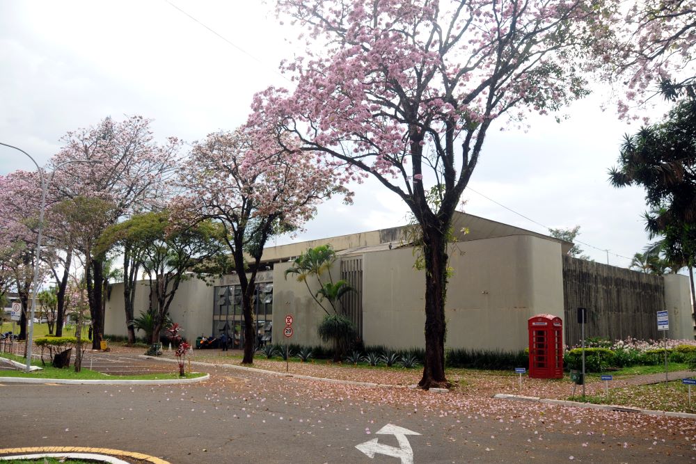 Em Londrina, Audiência pública debaterá projeto que proíbe atleta identificado em contrariedade ao sexo biológico em competições