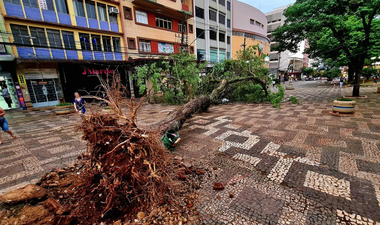 Tempestade causa destruição e falta de energia elétrica em Londrina