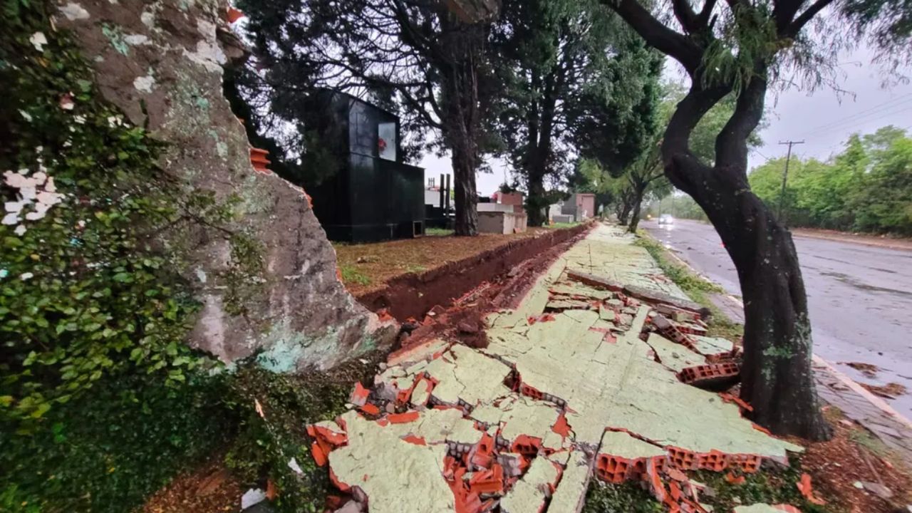 No Paraná, temporal causa destruição e derruba árvores e muros
