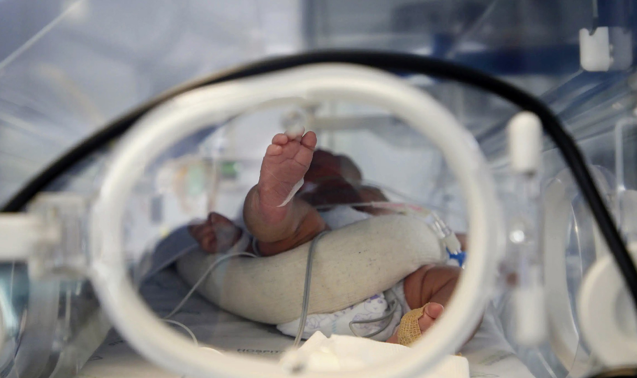 Paraná é o estado que mais realiza consultas de pré-natal pelo SUS