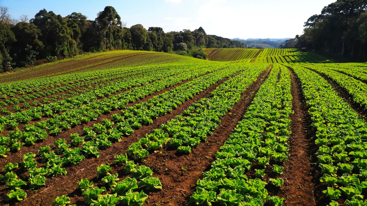 Paraná registra 770 atividades econômicas de baixo risco ambiental