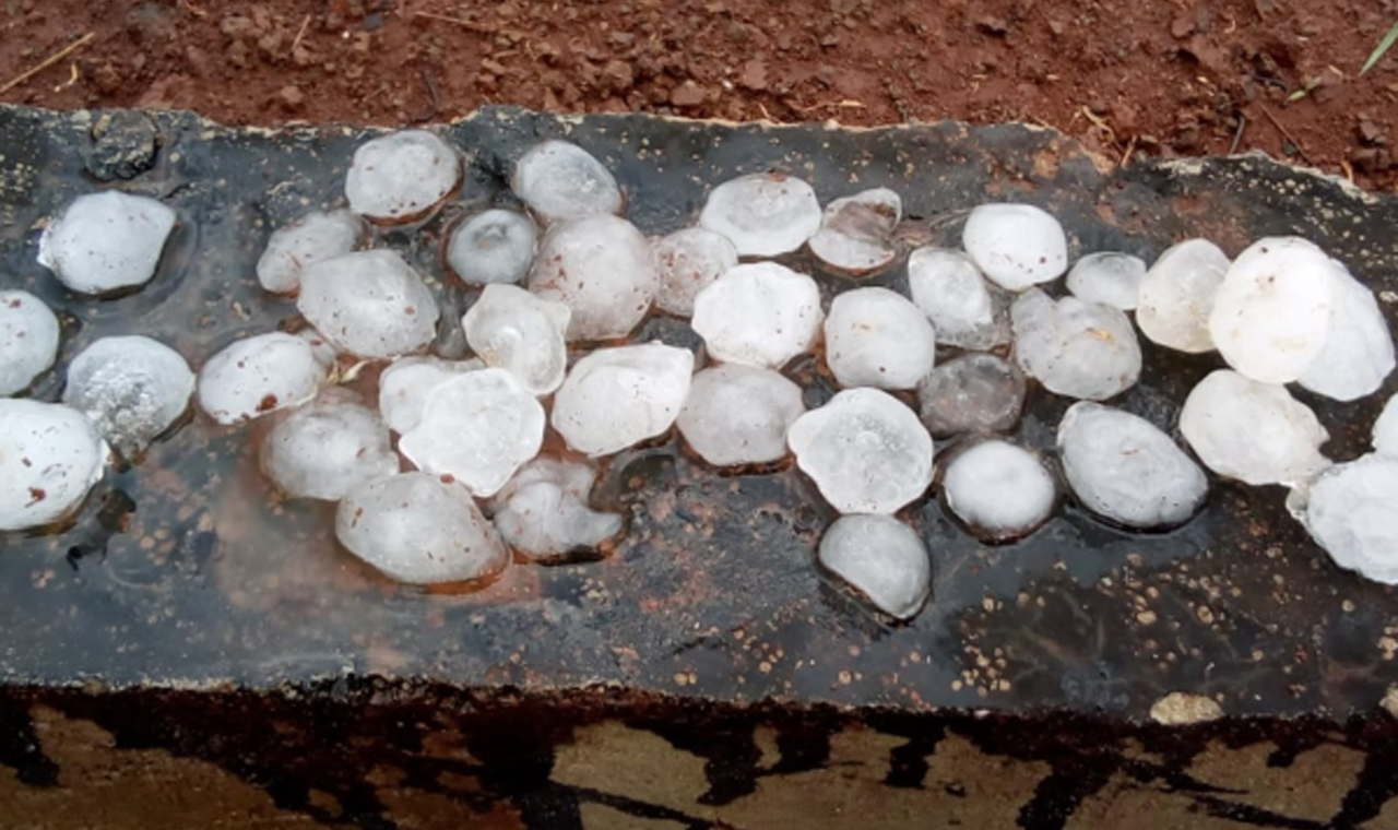 Tempestade com granizo destelha casas e derruba árvores em Cornélio Procópio