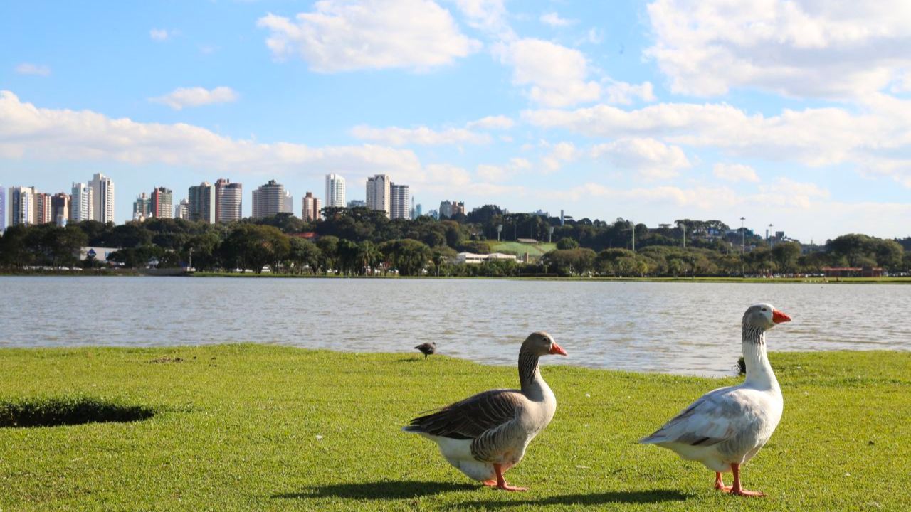 Chegada de frente fria deve amenizar temperaturas no Paraná