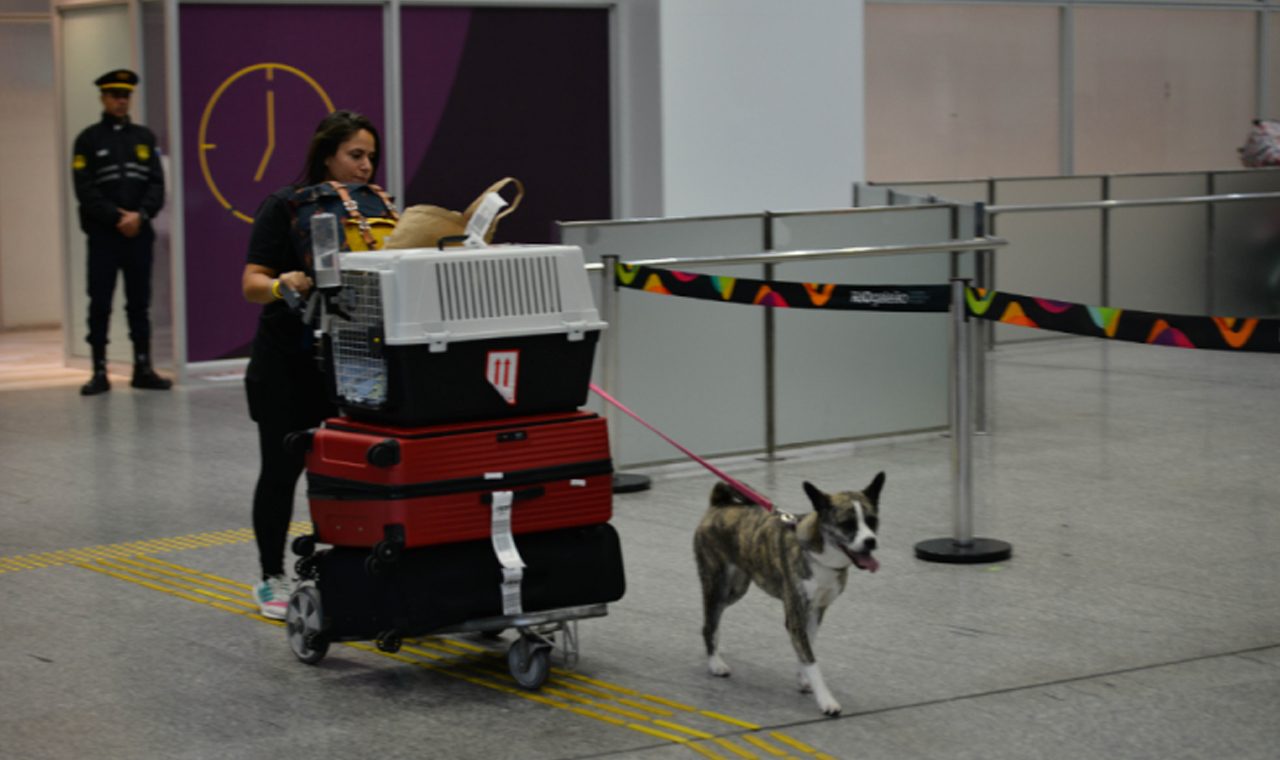Mais um voo com repatriados chega ao Brasil