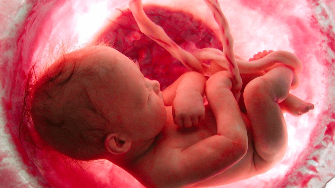 Em Londrina, Instituto realiza programação na 1ª Semana de Conscientização do Luto Gestacional e Neonatal