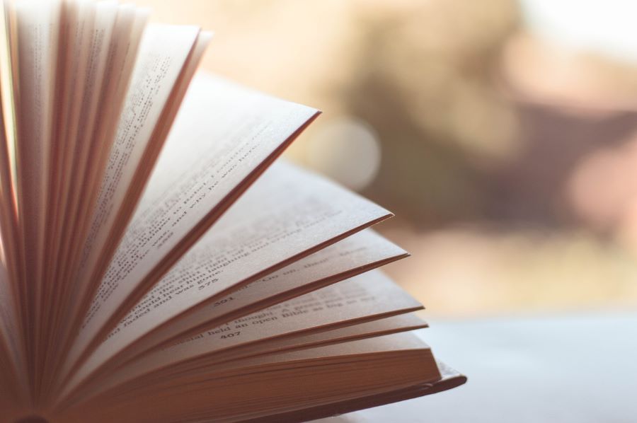 Em Londrina, Bibliotecas seguem recebendo livros com empréstimos atrasados até segunda-feira