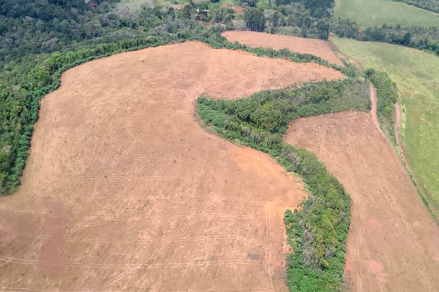 Força-tarefa flagra “4 mil campos de futebol” desmatados no PR