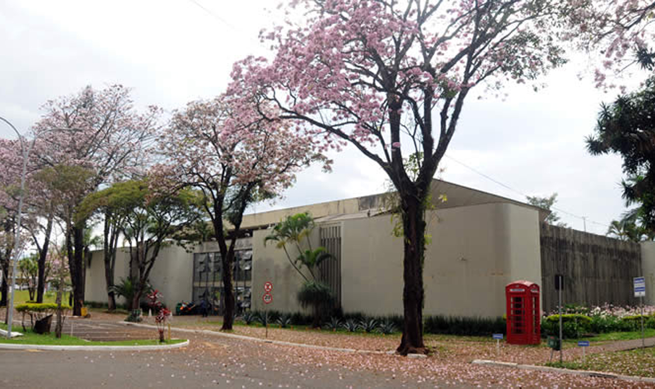 Sema multa empresa que arrancou 16 árvores durante reforma na Câmara de Londrina