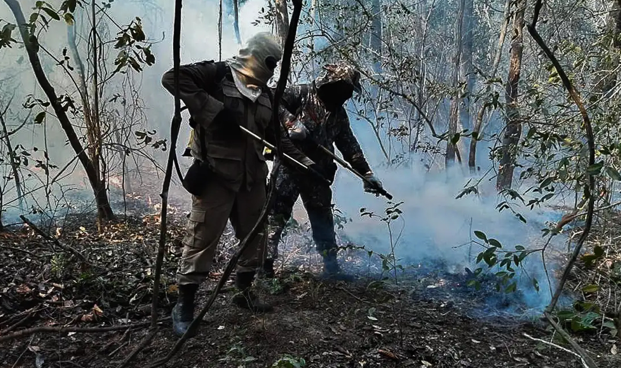 Governo federal reforça ações de combate ao fogo no Pantanal