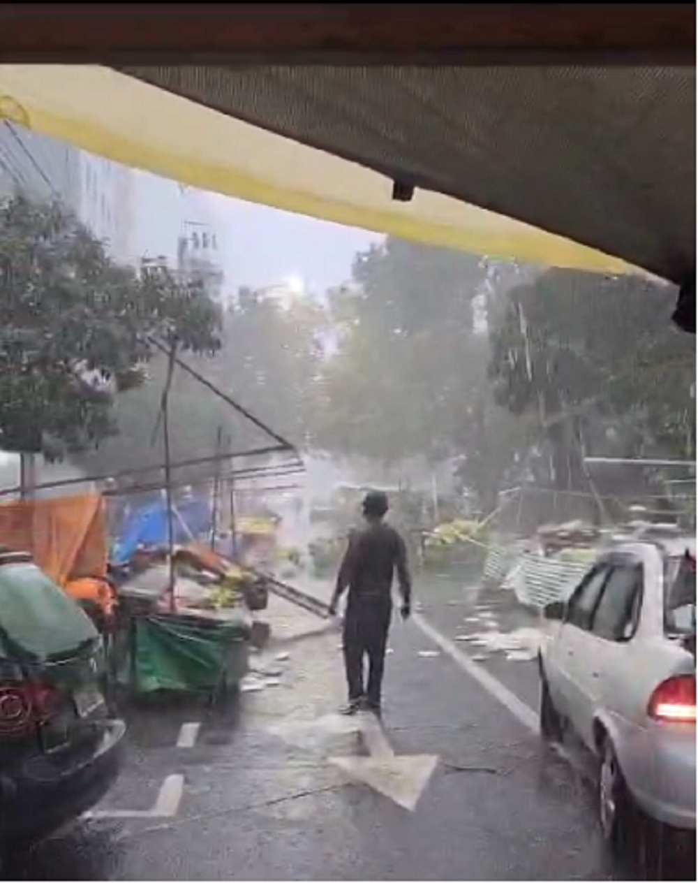 Temporal em Londrina causa estragos com ventos de 30 km/h