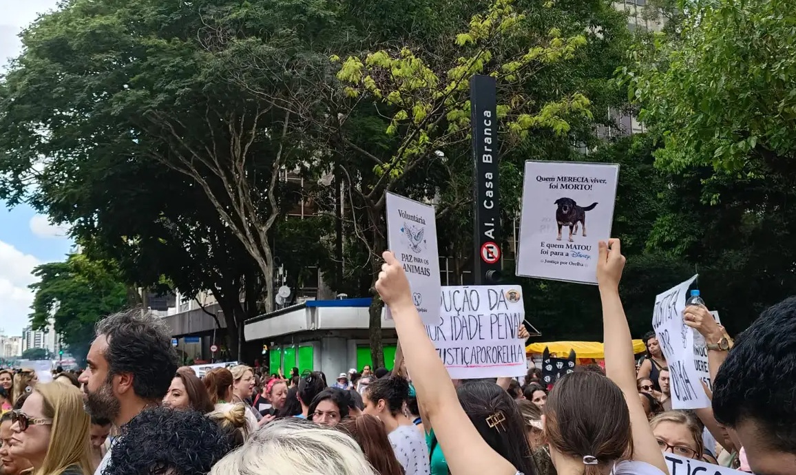 Imagem do post