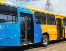 Londrina terá transporte coletivo gratuito neste domingo de eleição